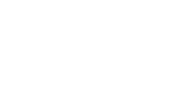 Blaze Brands